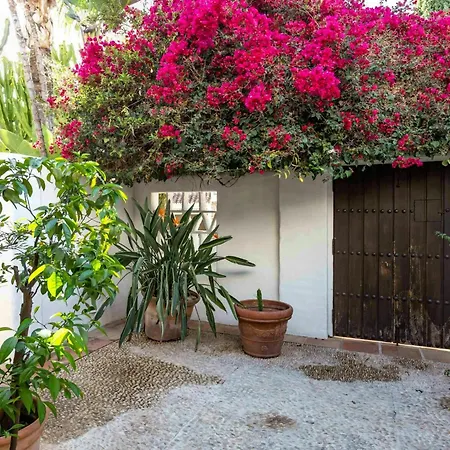 Artist's Facing The Sea In Sierra Blanca *
